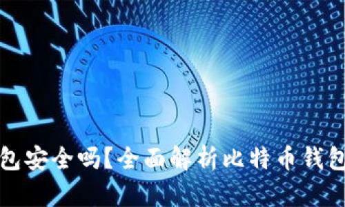 比特币钱包安全吗？全面解析比特币钱包的安全性