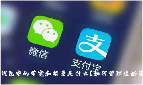 TRX钱包中的带宽和能量是什么？如何管理这些资源？