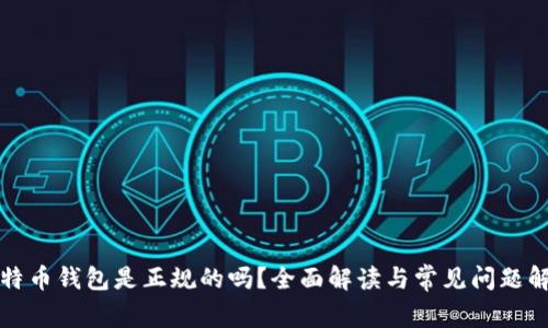 比特币钱包是正规的吗？全面解读与常见问题解答