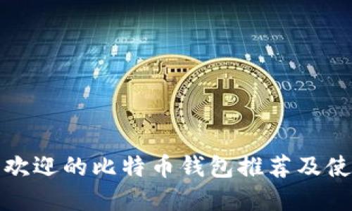 : 最受欢迎的比特币钱包推荐及使用指南