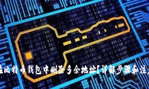 如何在比特币钱包中删除多余地址？详解步骤和注意事项