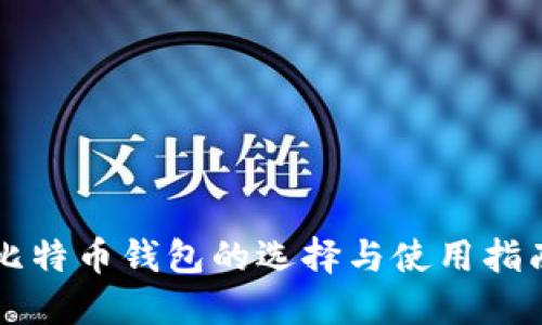比特币钱包的选择与使用指南