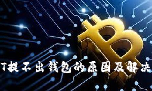 USDT提不出钱包的原因及解决办法