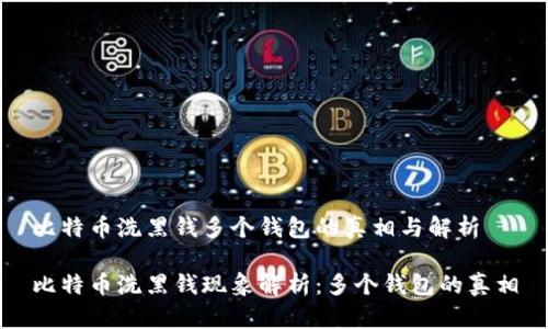 比特币洗黑钱多个钱包的真相与解析

比特币洗黑钱现象解析：多个钱包的真相