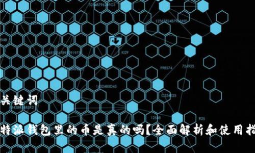 和关键词

比特派钱包里的币是真的吗？全面解析和使用指南