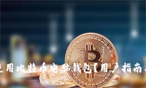 如何安全使用比特币电脑钱包？用户指南与截图示例
