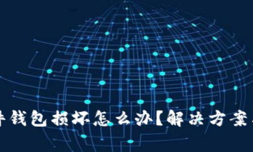 比特币硬件钱包损坏怎么办？解决方案与注意事项