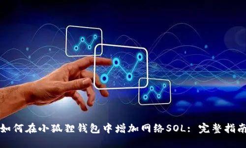 如何在小狐狸钱包中增加网络SOL: 完整指南