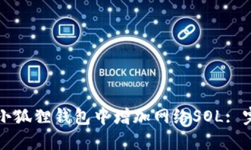 如何在小狐狸钱包中增加网络SOL: 完整指南