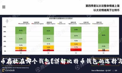 比特币存放在哪个钱包？详解比特币钱包的选择与使用