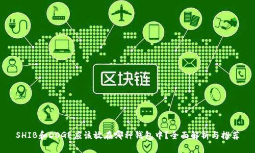 SHIB和DOGE应该放在哪种钱包中？全面解析与推荐