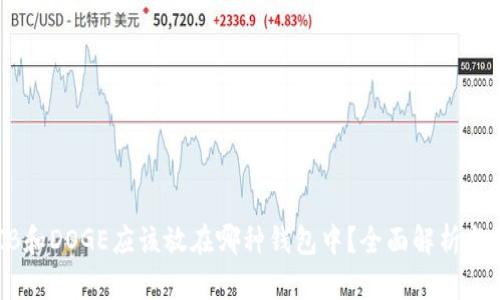 SHIB和DOGE应该放在哪种钱包中？全面解析与推荐