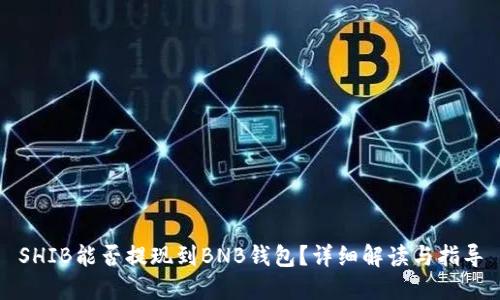 SHIB能否提现到BNB钱包？详细解读与指导