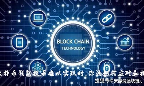 当比特币钱包提币难以实现时，你该如何应对和排查？