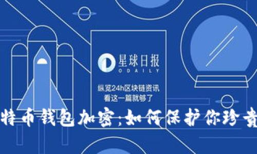 揭秘早期比特币钱包加密：如何保护你珍贵的数字财富