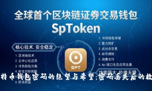 找回比特币钱包密码的绝望与希望：密码丢失后的救赎之路