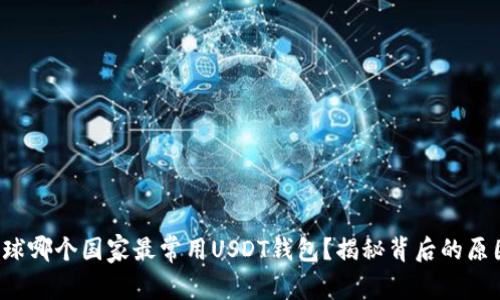 全球哪个国家最常用USDT钱包？揭秘背后的原因！