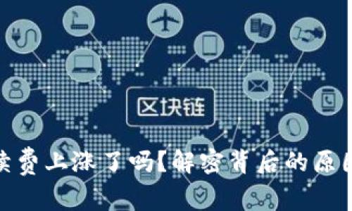 : TP钱包手续费上涨了吗？解密背后的原因与用户影响