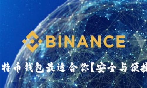 揭秘：哪个比特币钱包最适合你？安全与便捷的完美结合