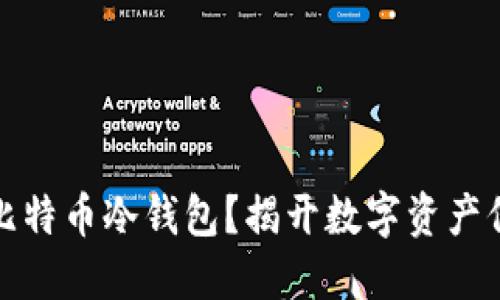如何安全购买比特币冷钱包？揭开数字资产保护的神秘面纱