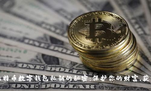 揭开比特币数字钱包私钥的秘密：保护你的财富，获得安心