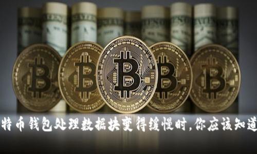 当比特币钱包处理数据块变得缓慢时，你应该知道的事