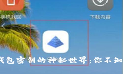 2011年比特币钱包密钥的神秘世界：你不知道的秘密与风险
