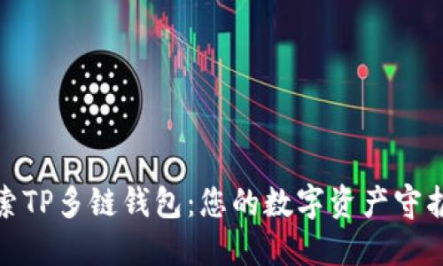 探索TP多链钱包：您的数字资产守护神