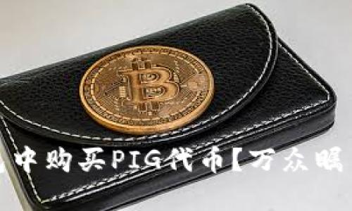 如何在TP钱包中购买PIG代币？万众瞩目的投资机会