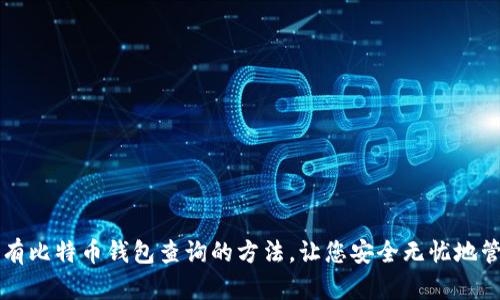 一次掌握所有比特币钱包查询的方法，让您安全无忧地管理数字资产