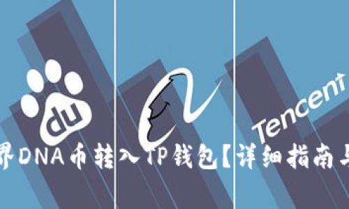如何将元界DNA币转入TP钱包？详细指南与注意事项