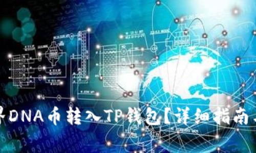 如何将元界DNA币转入TP钱包？详细指南与注意事项