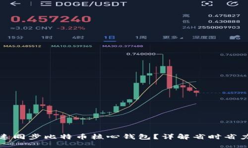 如何快速同步比特币核心钱包？详解省时省力的技巧