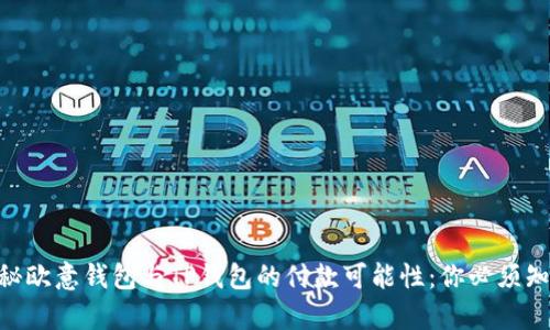 ibaoti揭秘欧意钱包与TP钱包的付款可能性：你必须知道的真相