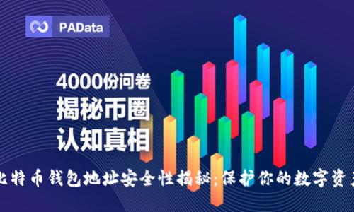 比特币钱包地址安全性揭秘：保护你的数字资产