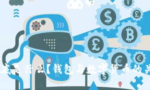 USDT到底是什么？钱包与数字货币的关系揭秘
