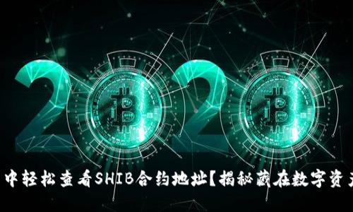 如何在TP钱包中轻松查看SHIB合约地址？揭秘藏在数字资产背后的秘密！