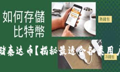 如何安全存储泰达币？揭秘最适合各类用户的钱包选项