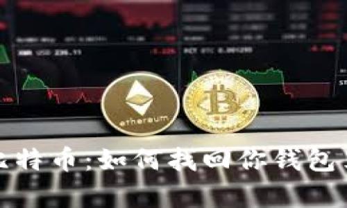 失踪的比特币：如何找回你钱包里的财富