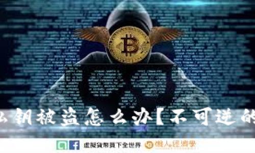 我的以太坊钱包私钥被盗怎么办？不可逆的损失与应对策略！