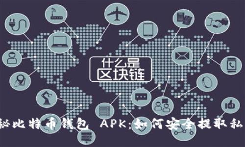 揭秘比特币钱包 APK：如何安全提取私钥？