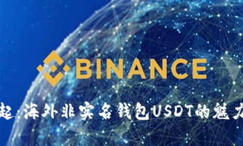 数字货币崛起：海外非实名钱包USDT的魅力与风险分析