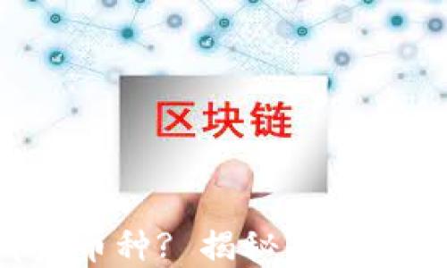 
TP钱包支持哪些币种? 揭秘你的数字资产新选择！