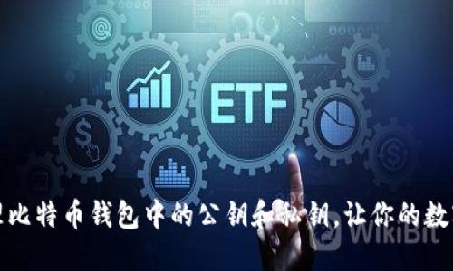 如何安全管理比特币钱包中的公钥和私钥，让你的数字资产更安全