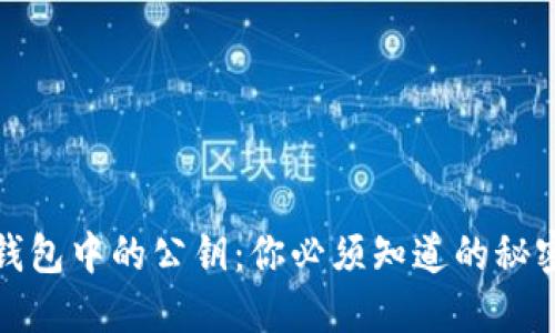 比特币钱包中的公钥：你必须知道的秘密与风险