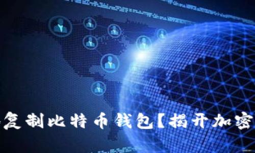 如何安全高效地复制比特币钱包？揭开加密资产保护的奥秘