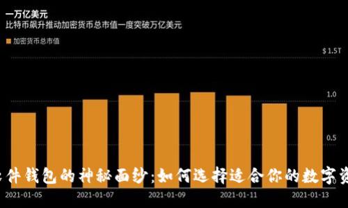 揭开比特币软件钱包的神秘面纱：如何选择适合你的数字资产保护工具？