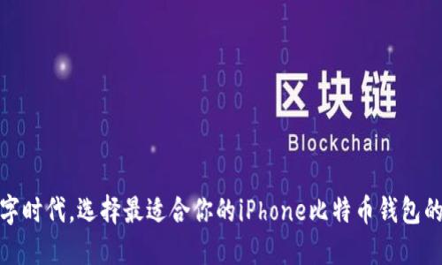 在数字时代，选择最适合你的iPhone比特币钱包的秘诀