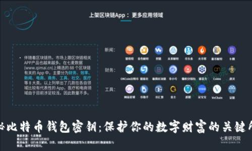 揭秘比特币钱包密钥：保护你的数字财富的关键所在