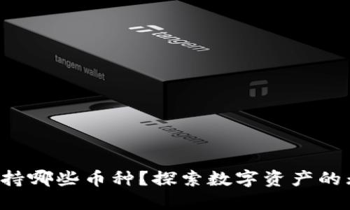 TP钱包支持哪些币种？探索数字资产的无穷可能！
